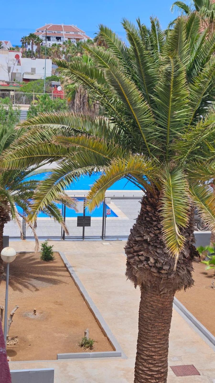 Paraiso Altemar, Duplex Las Americas Плайя-де-лас-Амерікас Екстер'єр фото